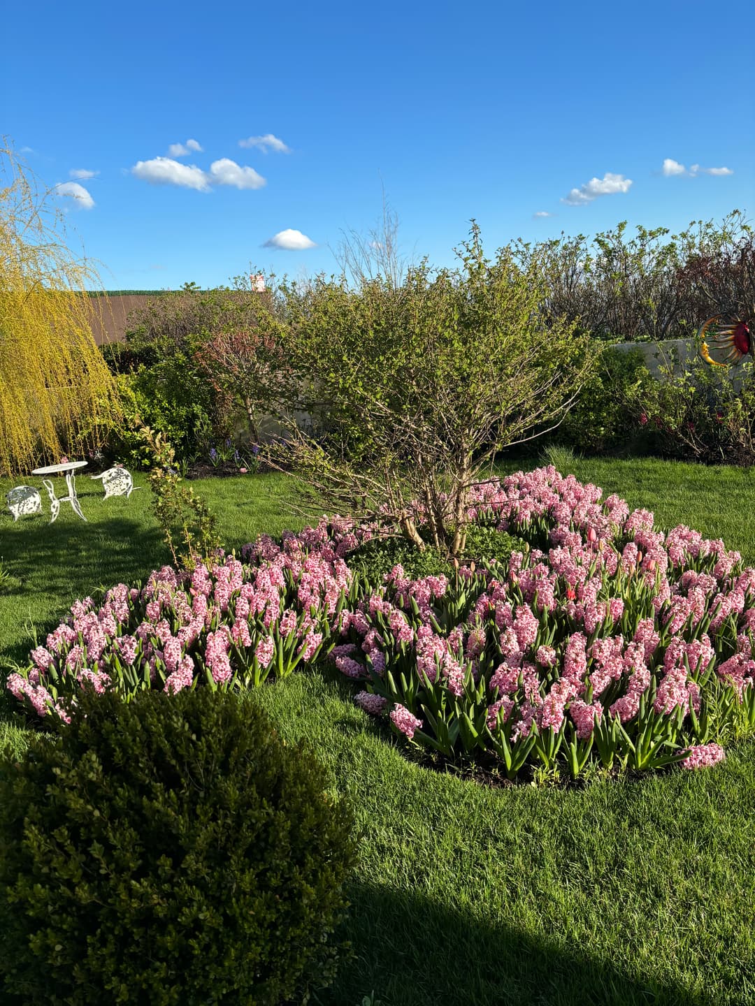 medina-landscaping-asset-20